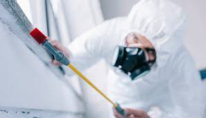 Best Residential Pest Control  in Old Jefferson, LA